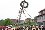 maibaum 2009