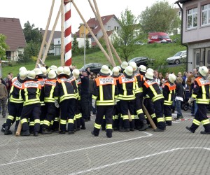 maibaum 2009