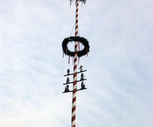 maibaum 2009
