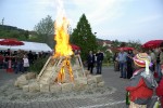 maibaum 2009