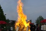 maibaum 2009