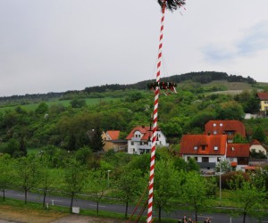 maibaum   
