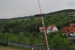 maibaum   