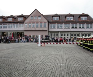 maibaum 2011 hgg