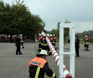 maibaum 2011 hgg