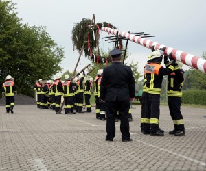 maibaum 2011 hgg