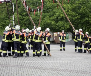 maibaum 2011 hgg