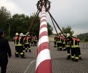 maibaum 2011 hgg