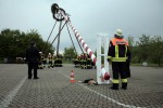 maibaum 2011 hgg