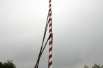 maibaum 2011 hgg