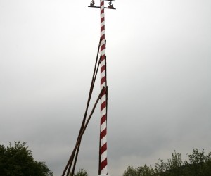 maibaum 2011 hgg