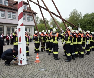 maibaum 2011 hgg