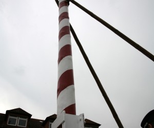 maibaum 2011 hgg