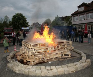 maibaum 2011 hgg