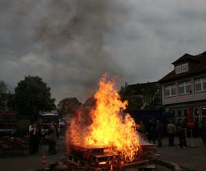 maibaum 2011 hgg