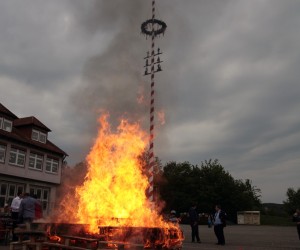 maibaum 2011 hgg
