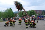 maibaum hd