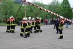 maibaum hd