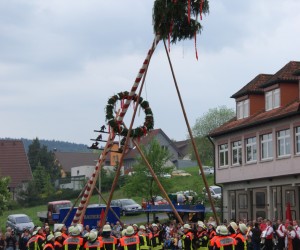 maibaum hd