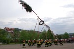 maibaum hd