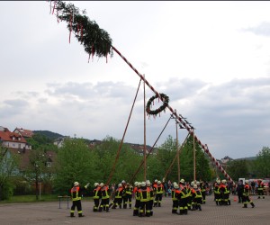 maibaum hd
