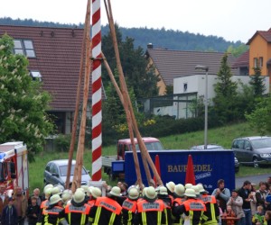 maibaum hd