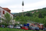maibaum hd