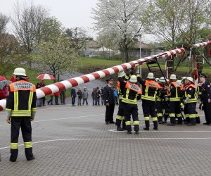 maibaum 2013