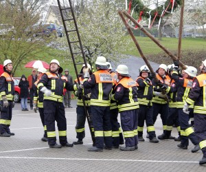 maibaum 2013