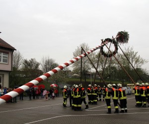 maibaum 2013
