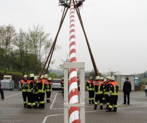 maibaum 2013