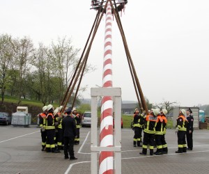 maibaum 2013