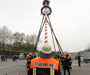 maibaum 2013