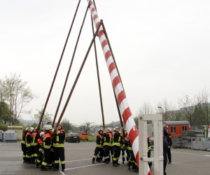 maibaum 2013