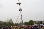maibaum 2013