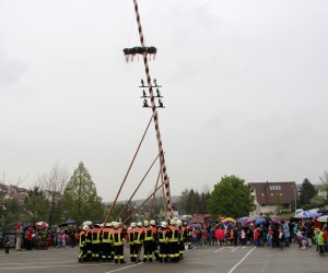 maibaum 2013