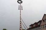 maibaum 2013