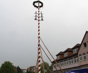 maibaum 2013