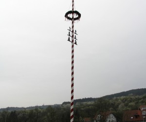 maibaum 2013