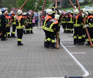 maibaum 2013