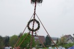 maibaum 2013
