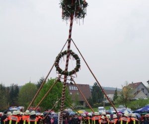 maibaum 2013