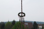 maibaum 2013