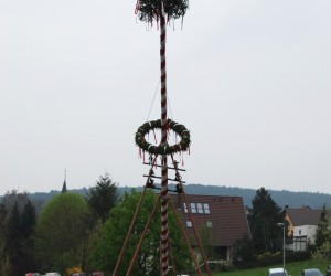 maibaum 2013