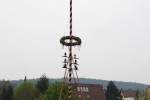 maibaum 2013