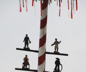 maibaum 2013