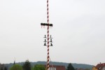 maibaum 2013