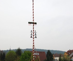maibaum 2013