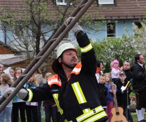 maibaum 2015   