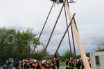 maibaum 2015   